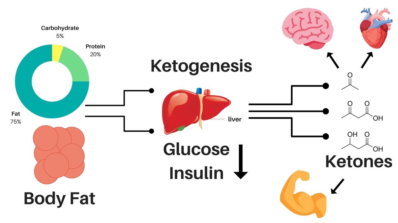 Delislim helps lose weight and provides energy